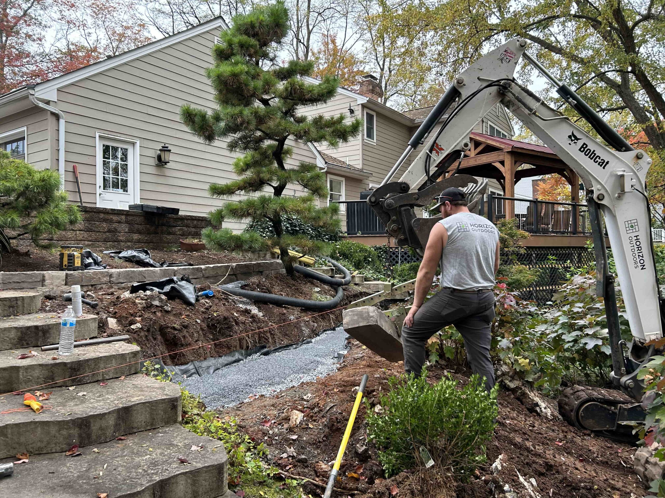 Tree, Stump, & Shrub Removal