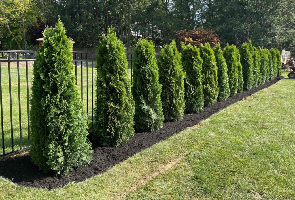 Retaining wall and pathway crafted by Horizon Outdoors LLC